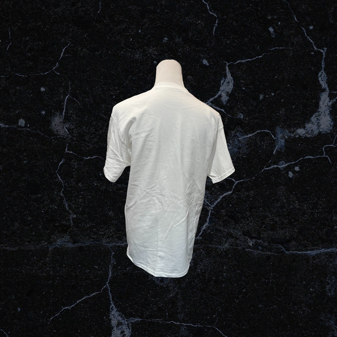 Hanes Authentic-T Pocket T-Shirt Blank