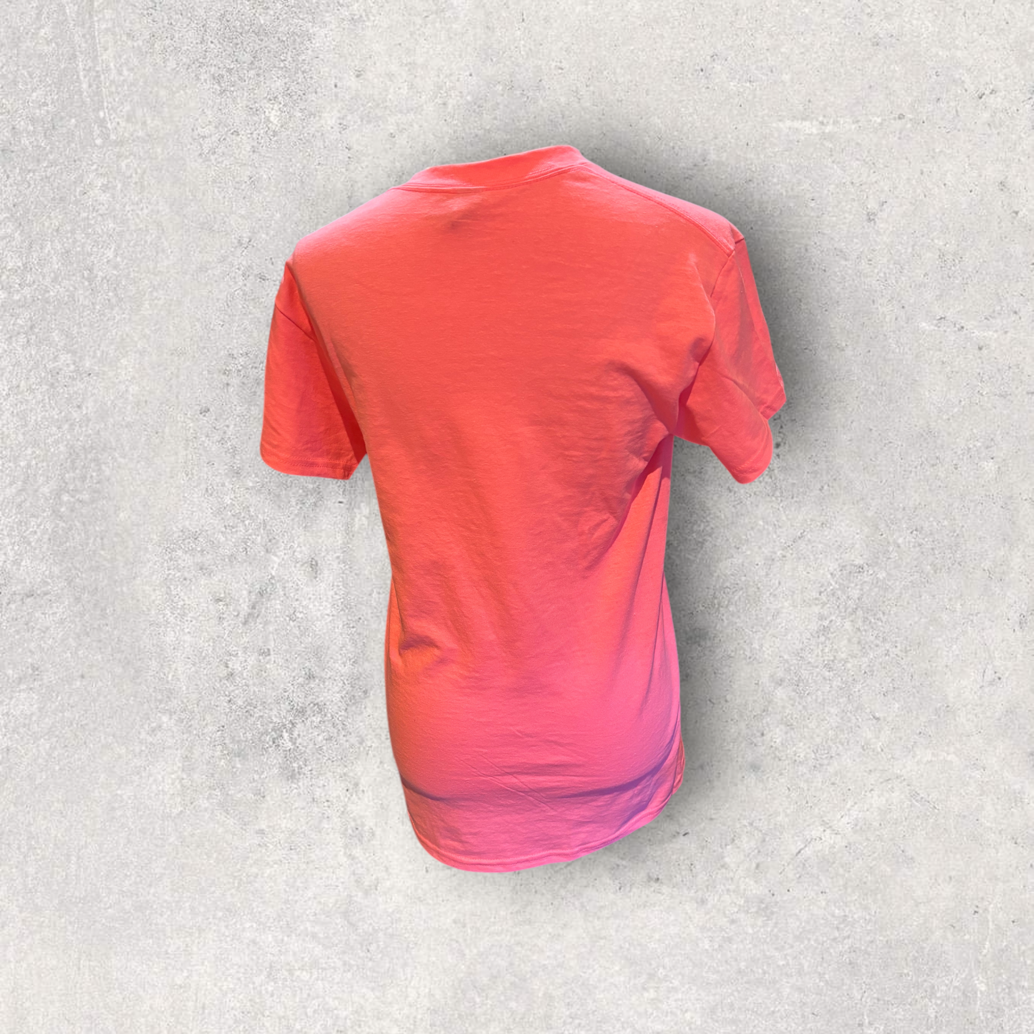 Printed Adult Gildan T-shirt (Pooh Easter)