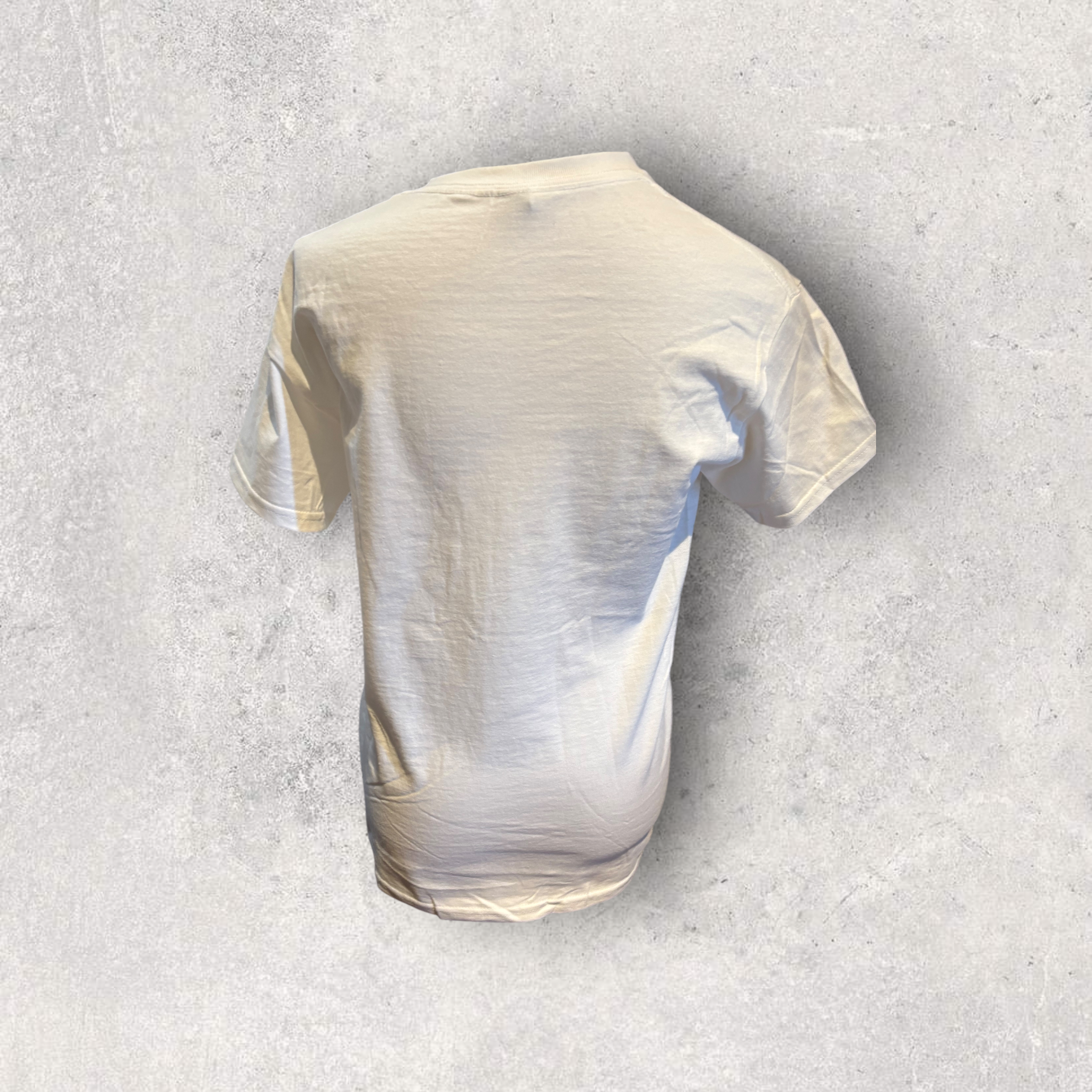 Printed Adult Gildan T-shirt (Quote Bear)