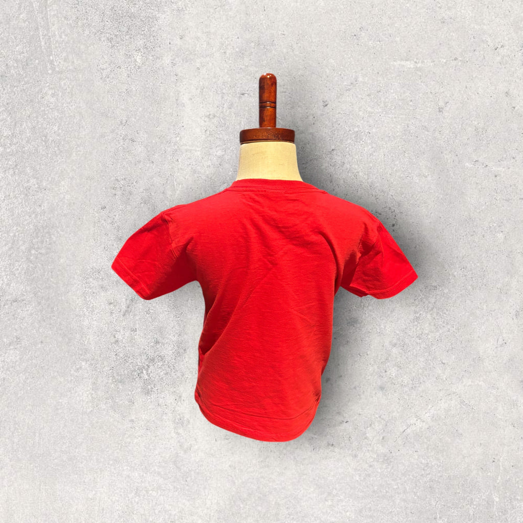 Printed Toddler T-shirt (Easter)
