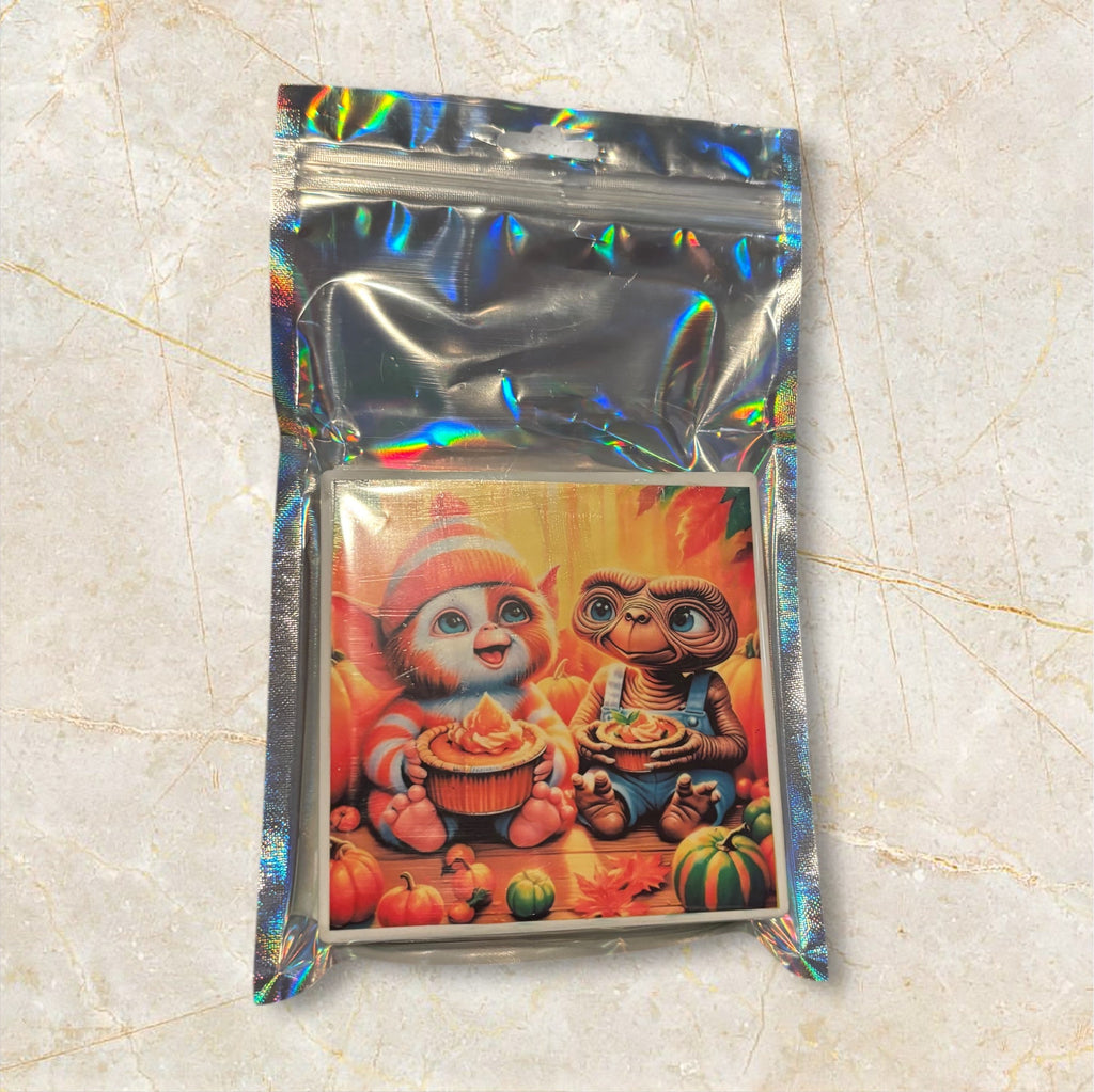 Printed Square Coaster Set of Two (ET)